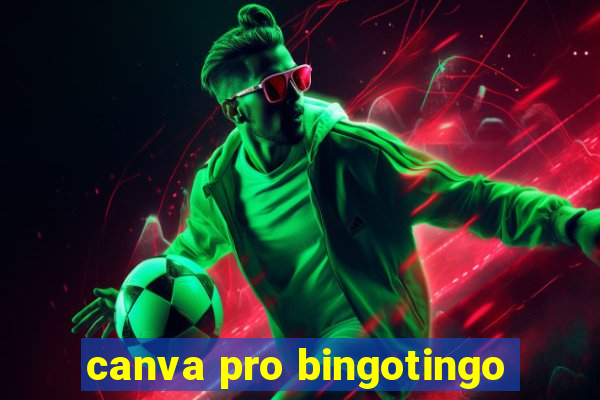 canva pro bingotingo